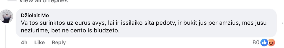 Pranešimo nuotrauka 1